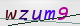 wpdiscuz_captcha
