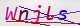 wpdiscuz_captcha